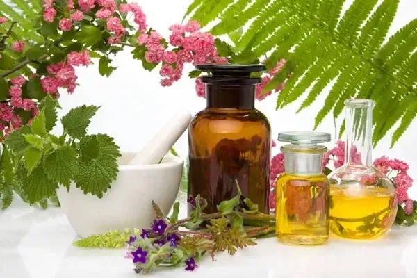 Bouteilles d’élixirs floraux et plantes médicinales dans un décor naturel