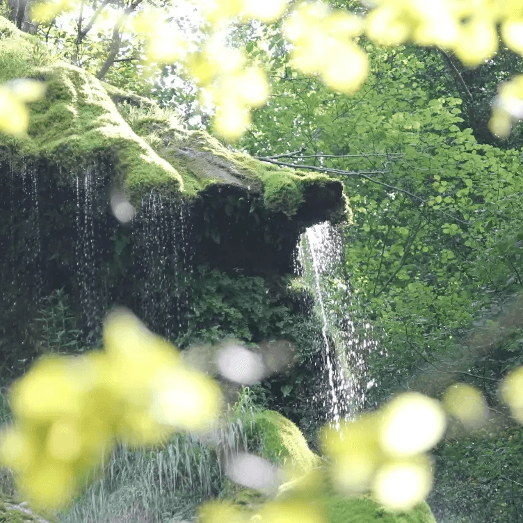 Offrez-vous un moment de détente profonde