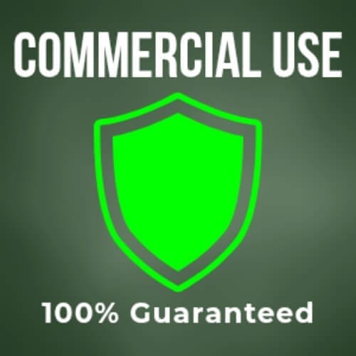 Icon representing the Commercial Use Licence included in the Pixel Flow bundle.