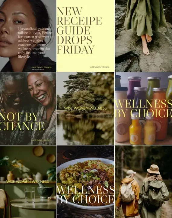 Wise Women Wellness Social media Direction