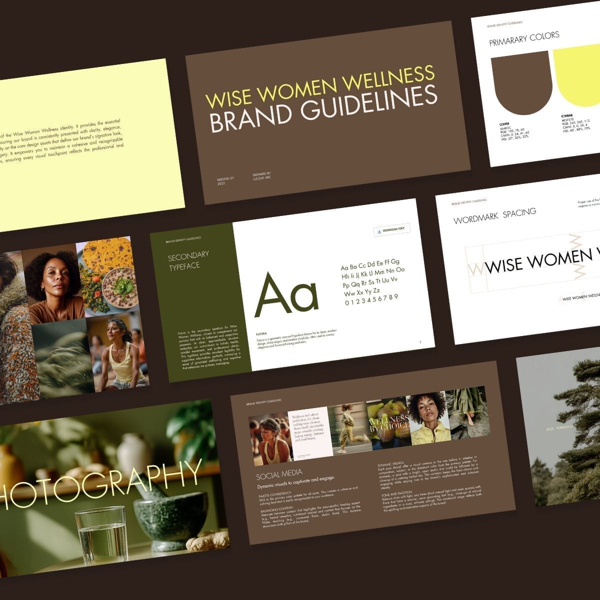 Wise Women Wellness Brand Guide extract