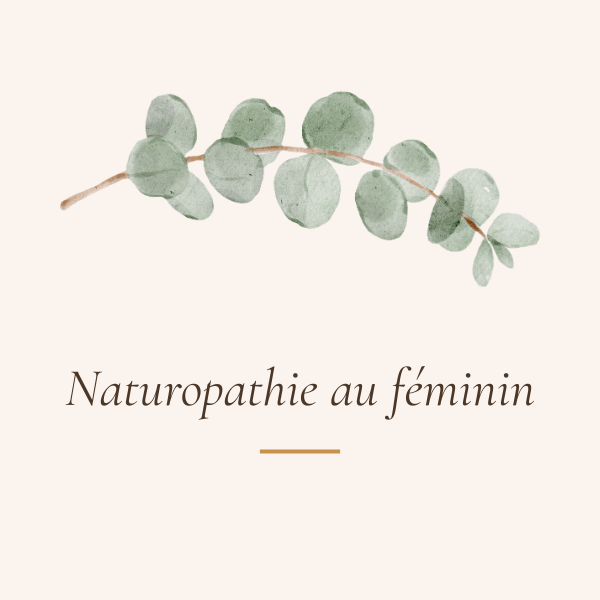 Catégorie Naturopathie au féminin - naturopathie pour femmes hypersensibles