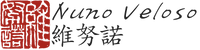 coach - seal 維努諾 - Nuno Veloso - integrative coaching and preventive health - DragonWithin.co