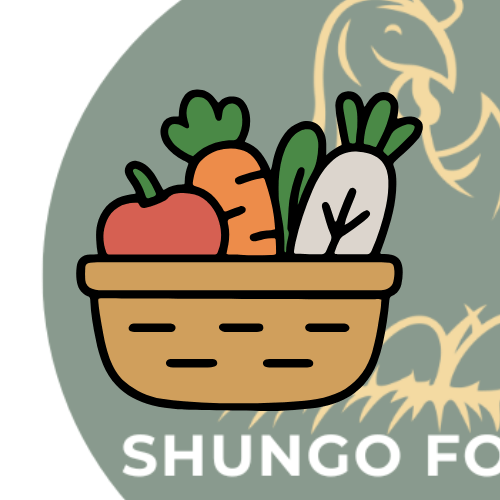 Basic Organic Food Basket