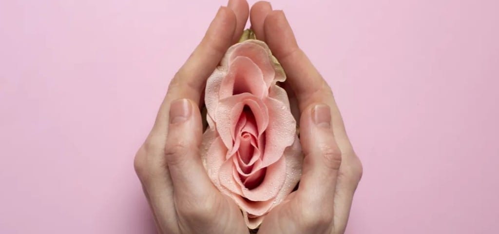 Imagem simbólica e delicada representando a intimidade feminina, como uma flor.