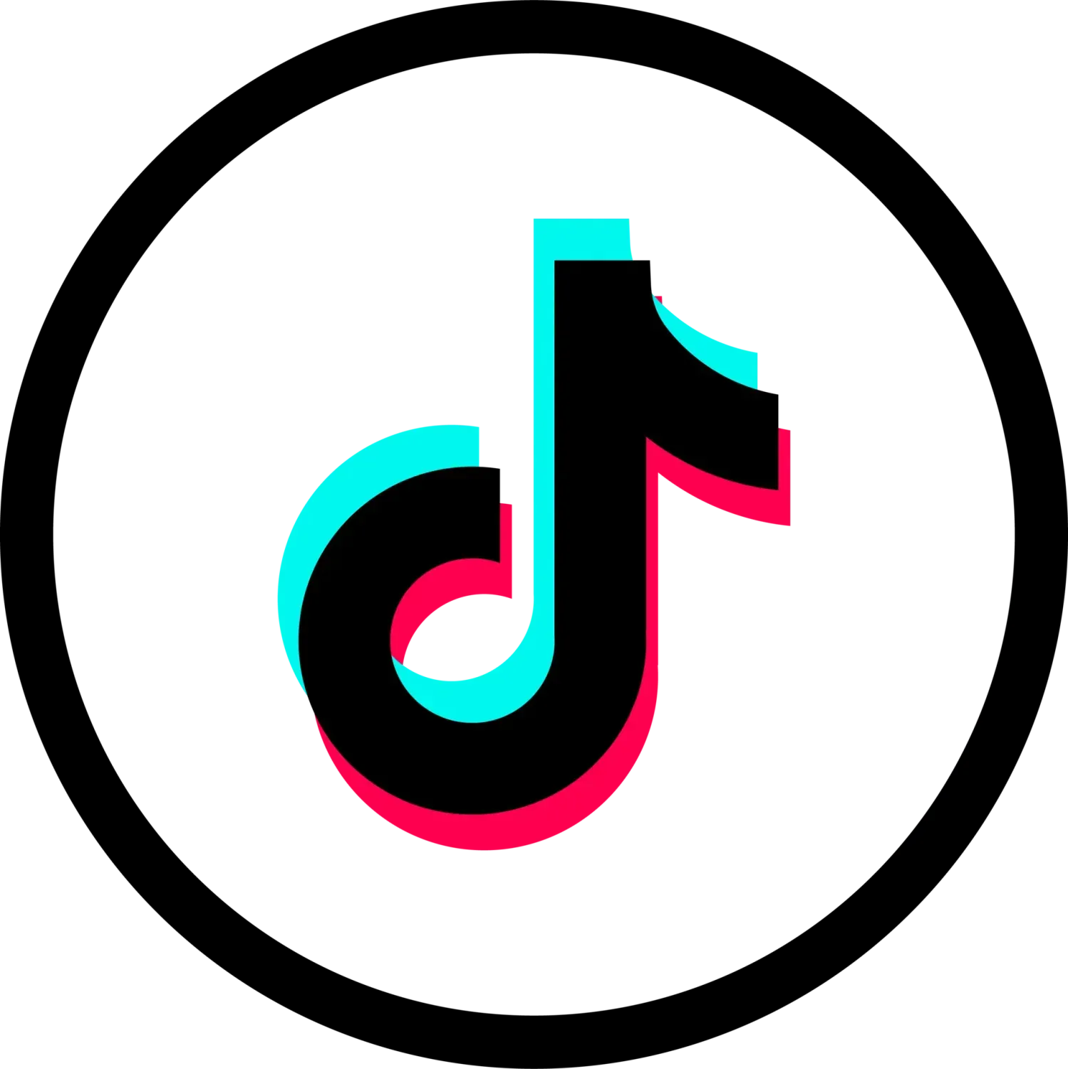TikTok - @fixingthegap