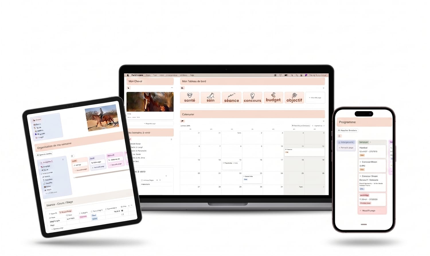 Aperçu du template Equi-Life dans Notion
