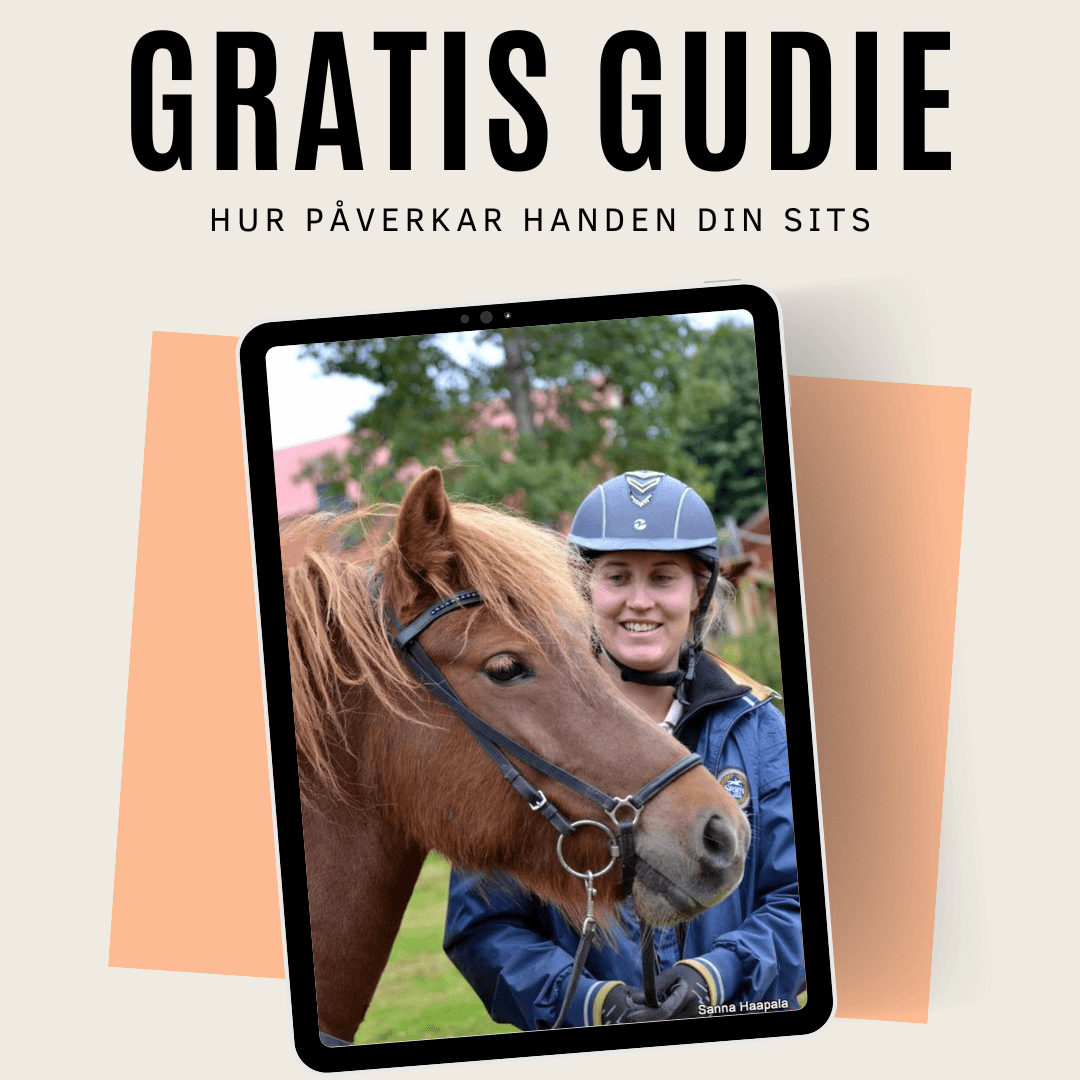 Gratis guide