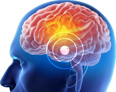 The Brain Song brain