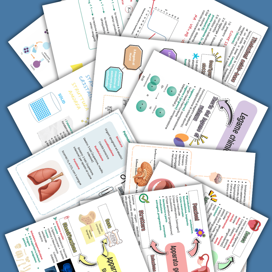 BLACK FRIDAY: MEGA BUNDLE TUTTI I PDF AL -80%