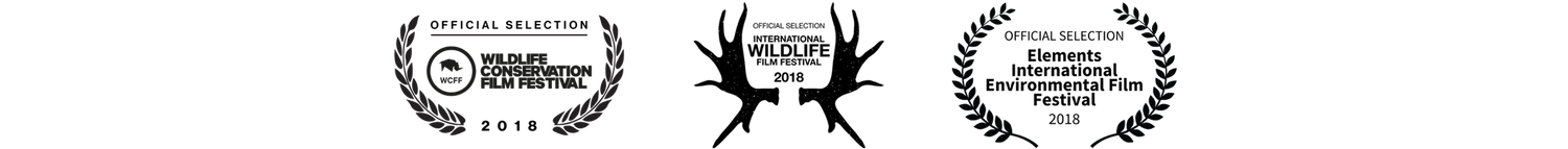 FauneVoyage WCF IWFF Elements Official Selections