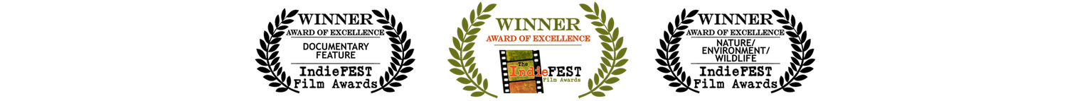 FauneVoyage IndieFest Awards