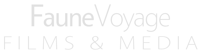 FauneVoyage Films & Media Logo