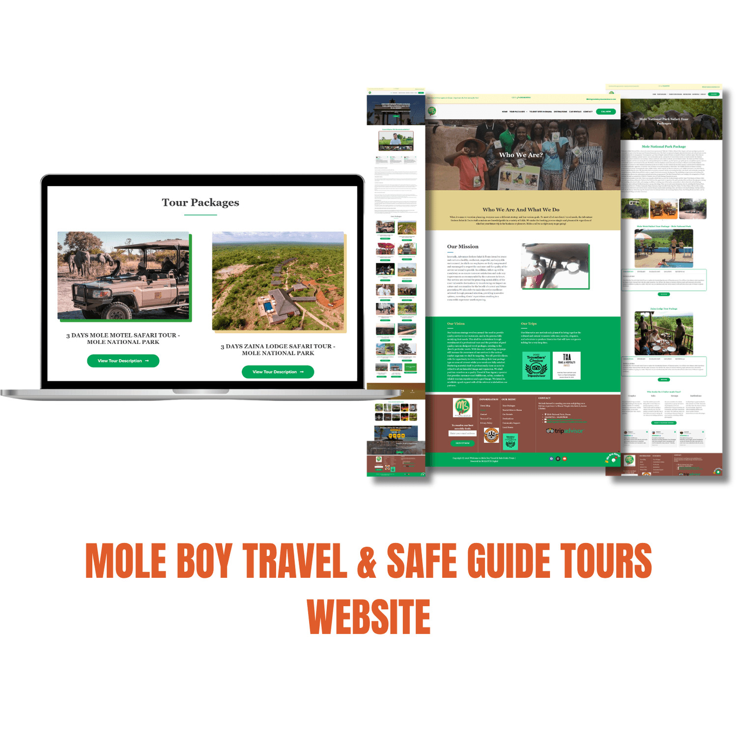 Travel & Tour Website Design