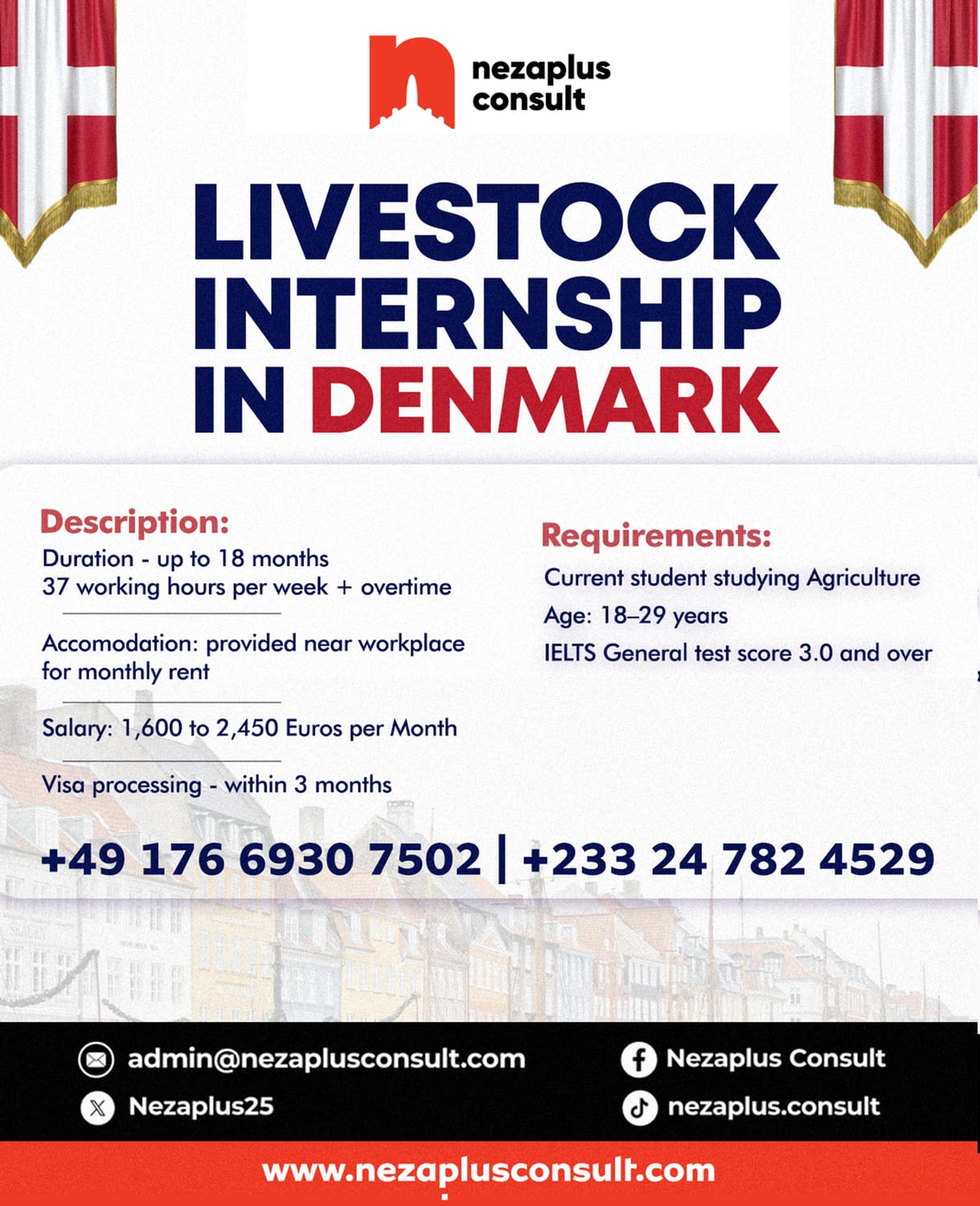 Paid livestock internship in Denmark flyer