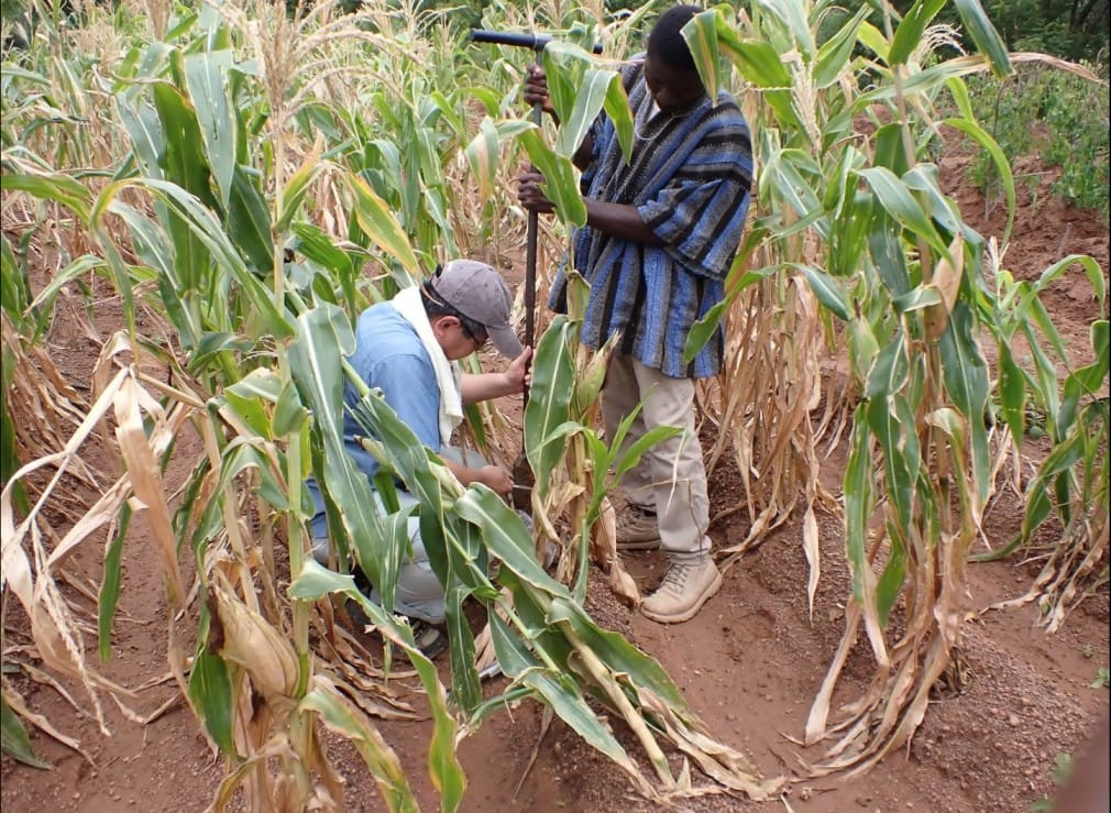 Maganoba Farms cultivation site