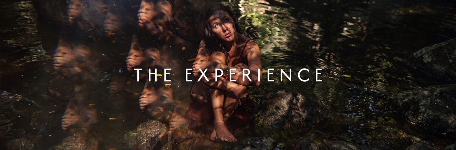 The Experience