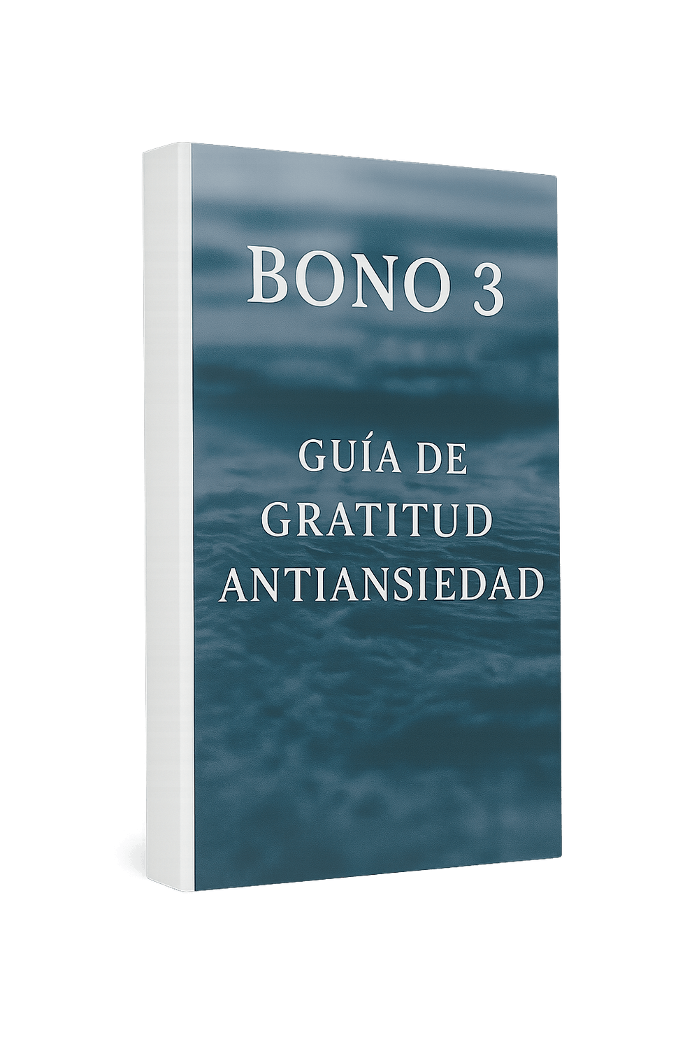 Portada Bono 3