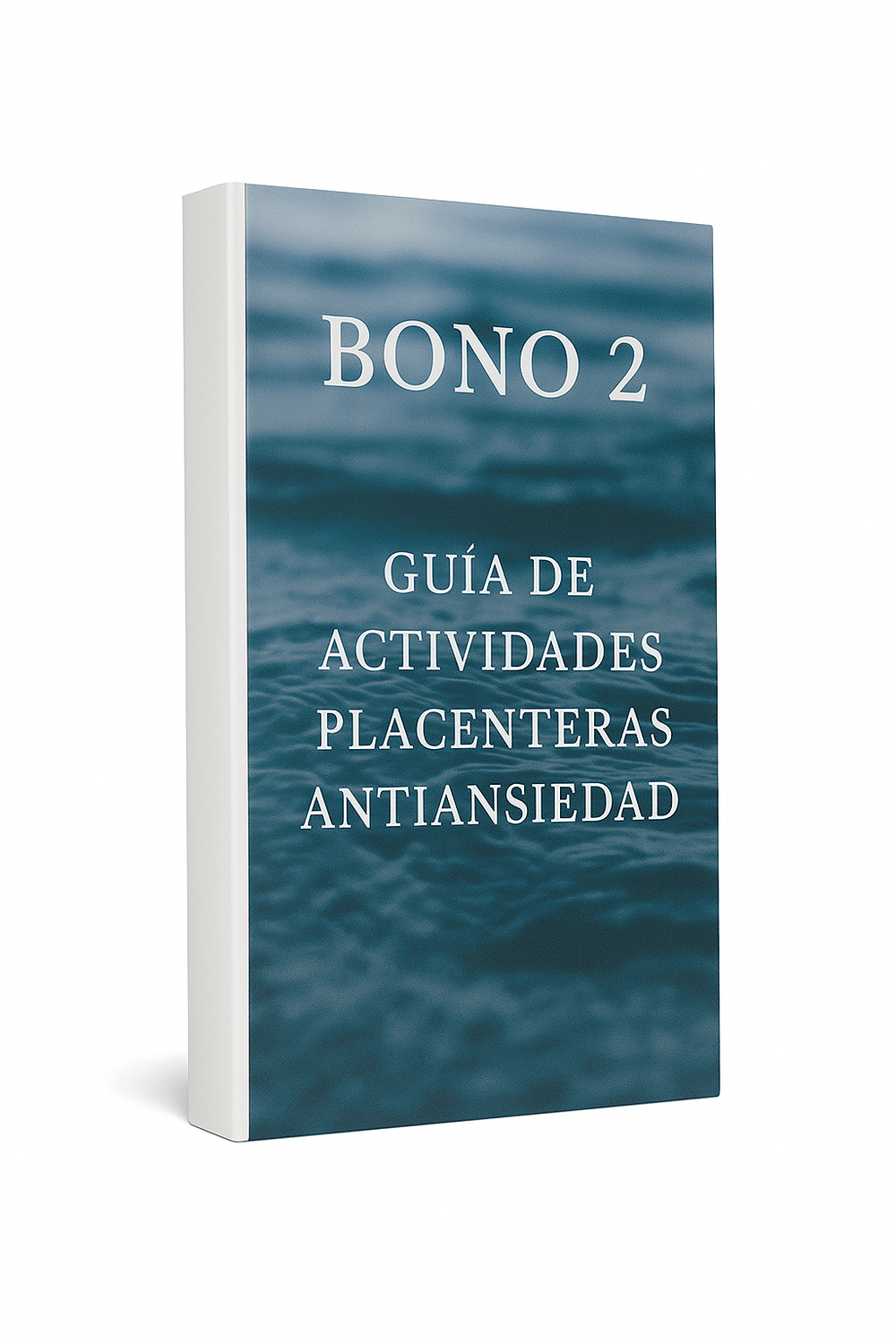 Portada Bono 2