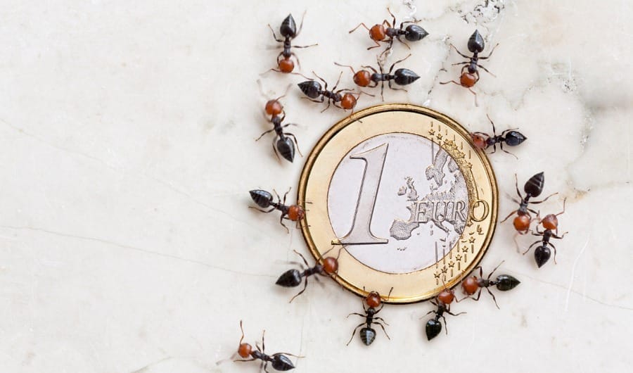 Yuri González explica qué son los gastos hormiga y cómo eliminarlos para mejorar tus finanzas.