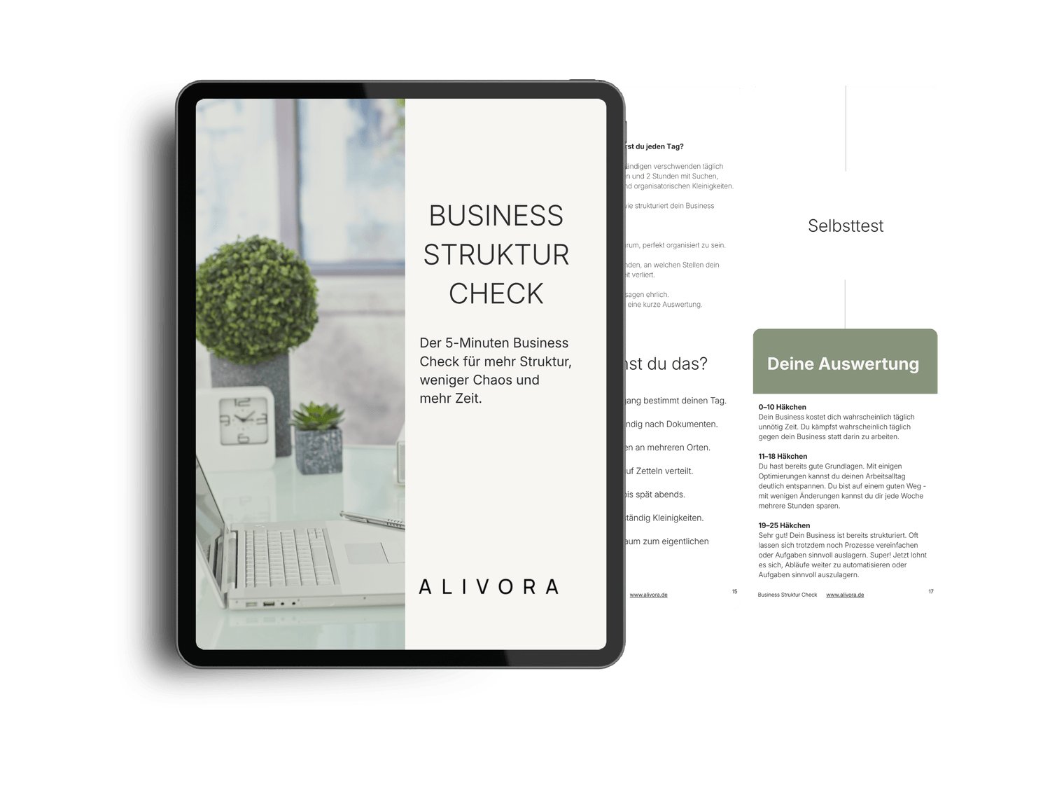 Kostenloser Business Struktur Check