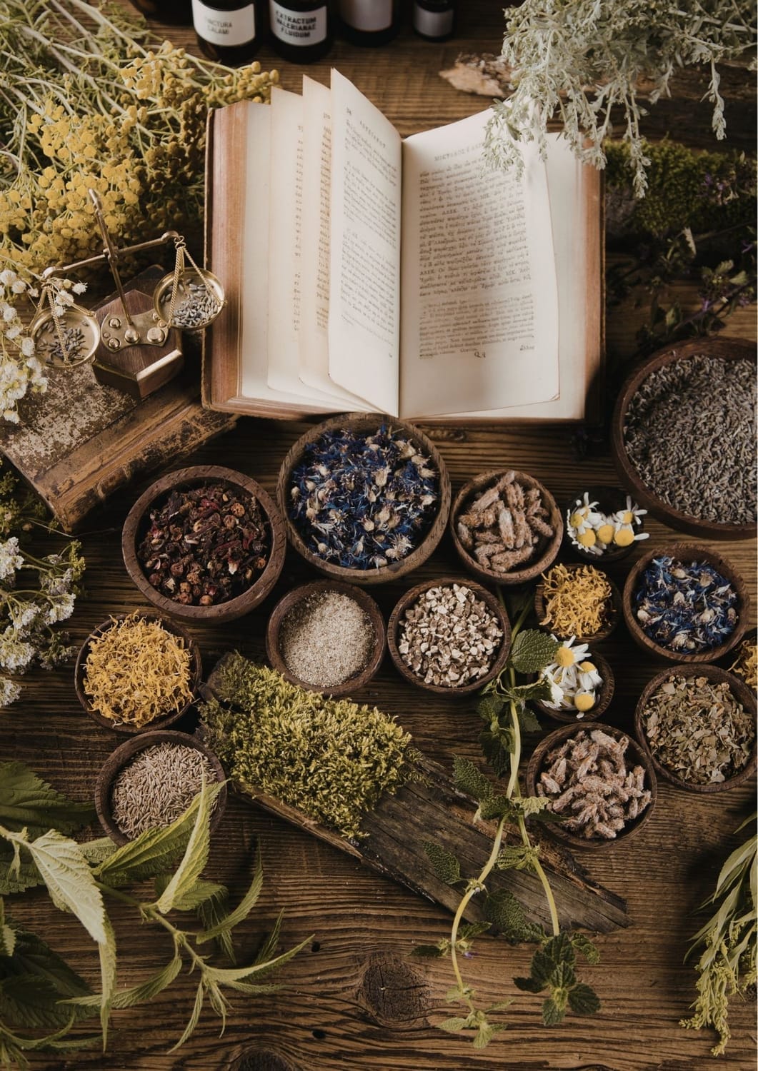 Livre de plantes médicinales avec préparations naturelles – soutien thérapeutique et accompagnement holistique à Montayral