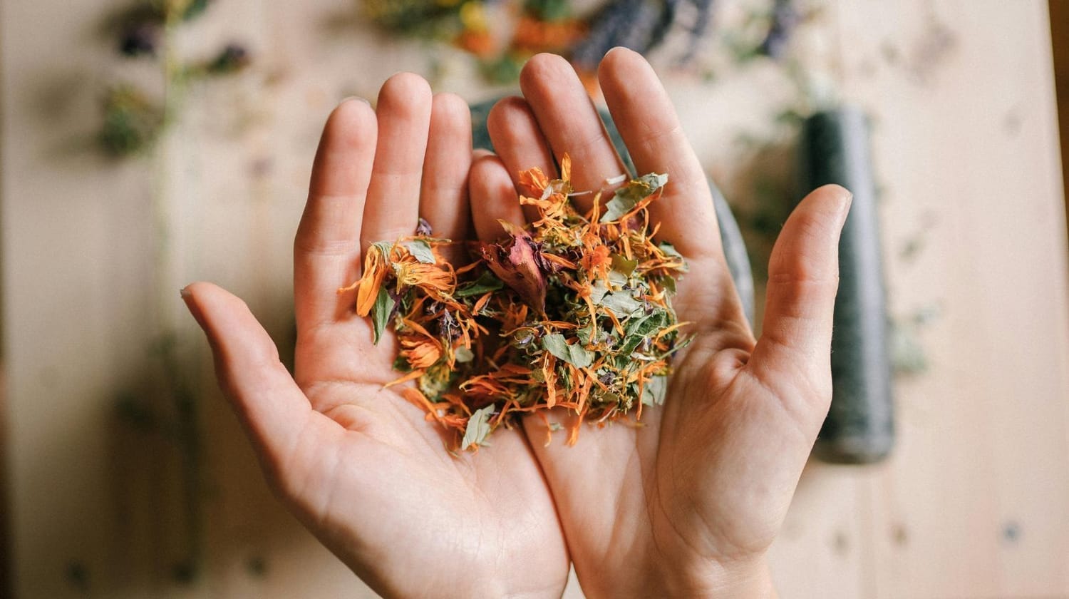 Mains tenant des fleurs séchées – ingrédients naturels pour tisanes, élixirs et rituels artisanaux