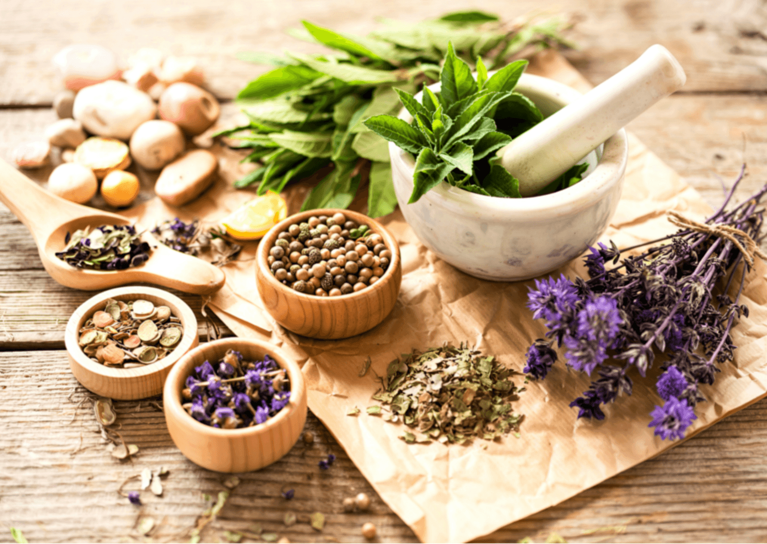 Préparations végétales artisanales – tisanes, macérâts, hydrolats naturels faits main à Montayral