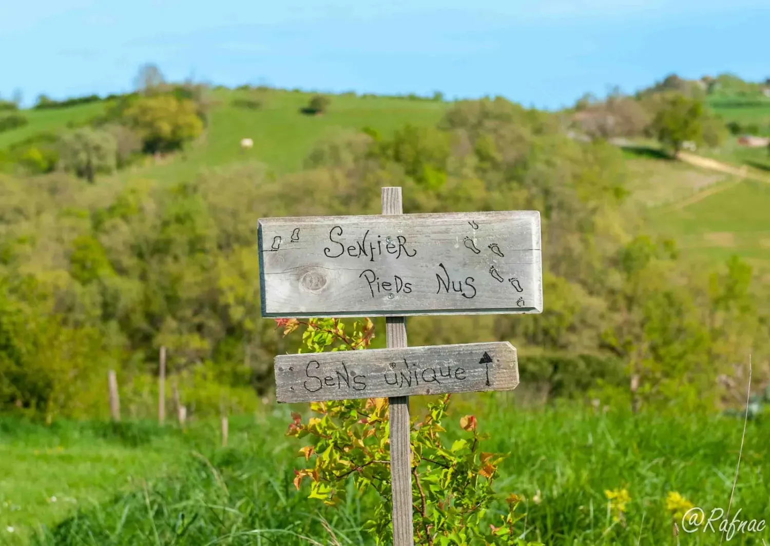 Panneau en bois « Sentier pieds nus » planté dans une prairie de l'écovillage de Pourgues