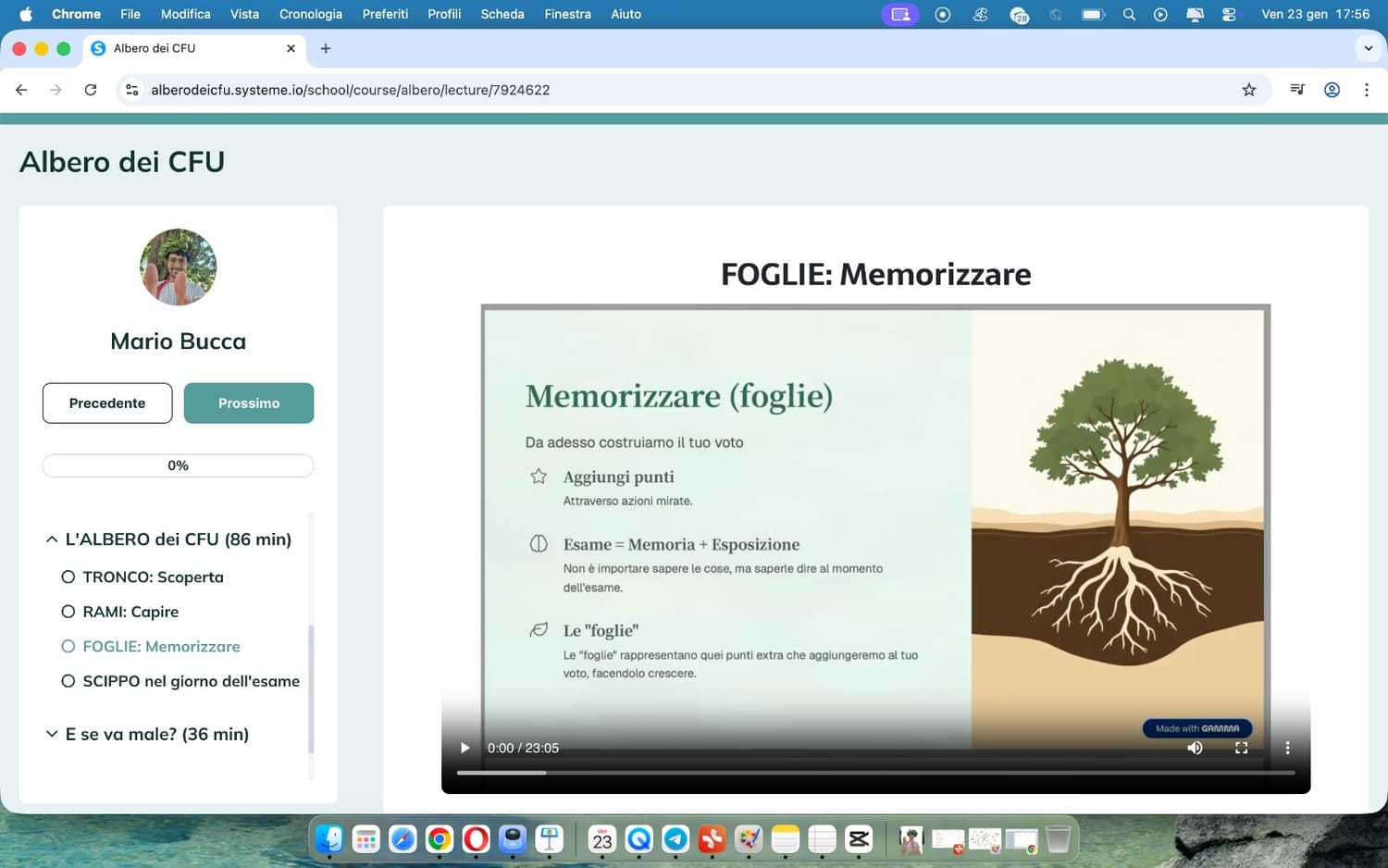 Le FOGLIE: la fase della memorizzazione