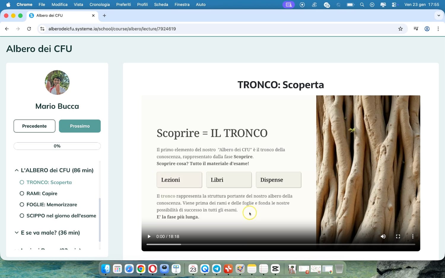 IL TRONCO: la fase della scoperta