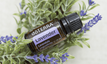 dōTERRA Lavender – Levendula