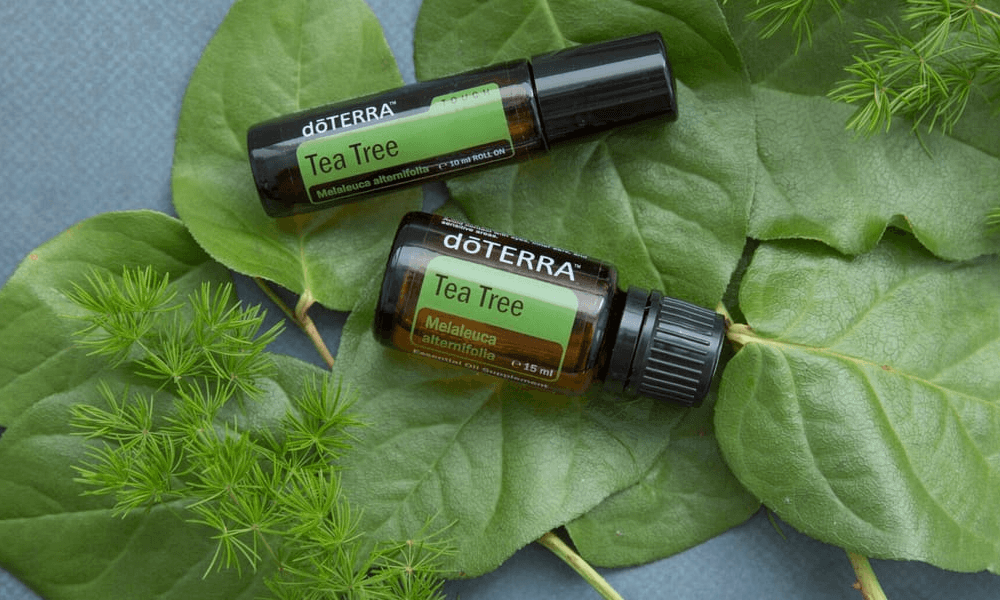 dōTERRA Tea Tree – Teafa illóolaj – 15 ml