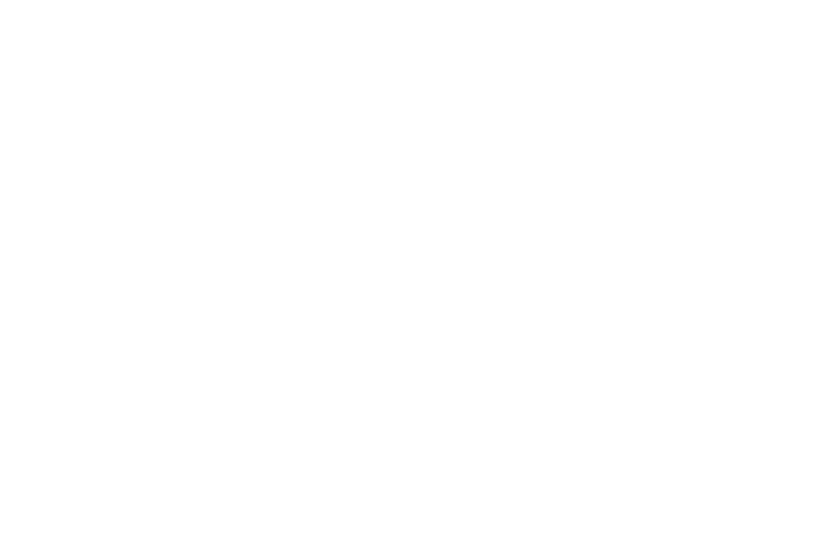 OM System logó