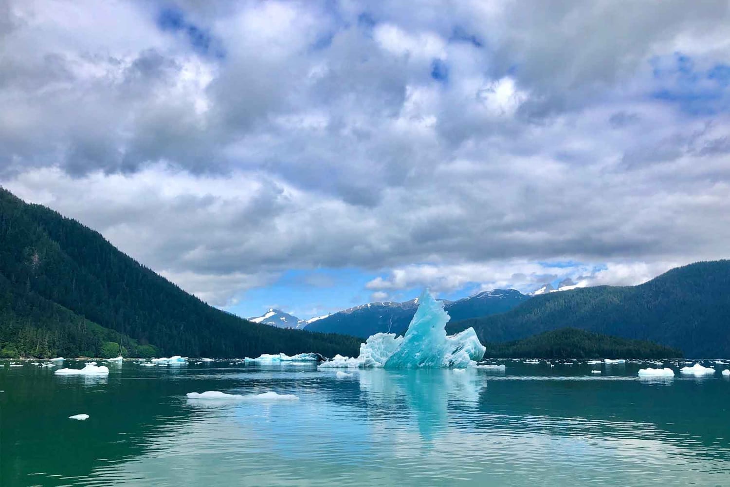 Iceberg in LeConte Bay during tour with FauneVoyage Tours