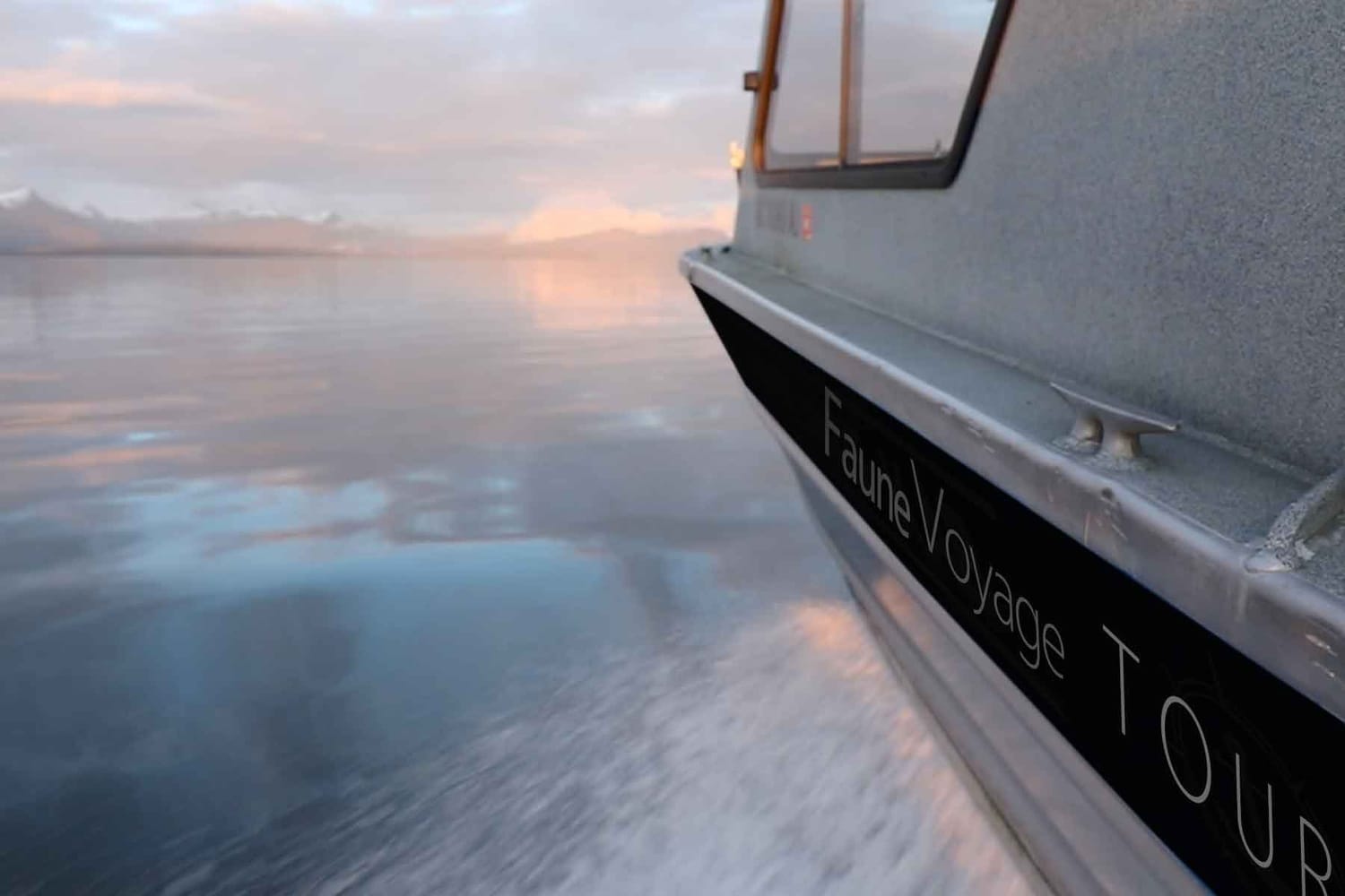 FauneVoyage Tours Welcraft in Frederick Sound