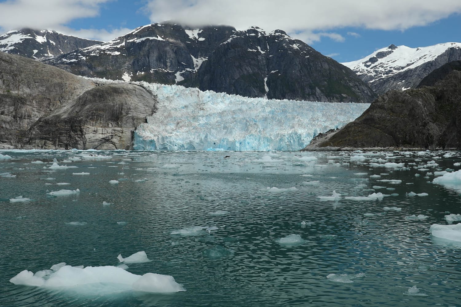 LeConte Glacier fjord during glacier photo tour by FauneVoyage Tours in Petersburg, Alaska