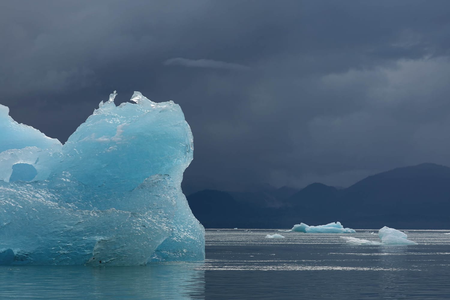 Iceberg in LeConte Bay fjord during glacier photo tour by FauneVoyage Tours in Petersburg, Alaska