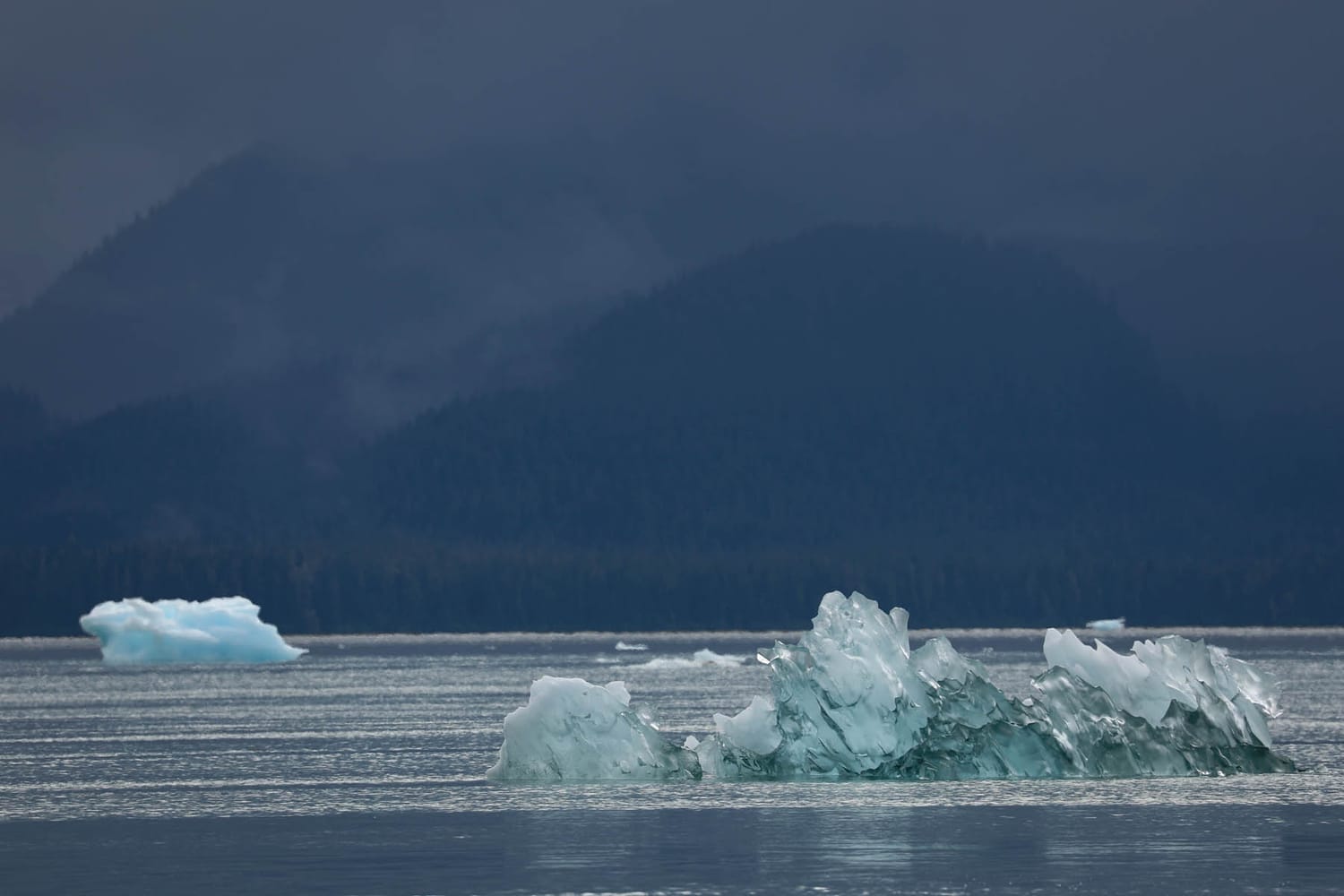 Iceberg in LeConte Bay fjord during glacier photo tour by FauneVoyage Tours in Petersburg, Alaska