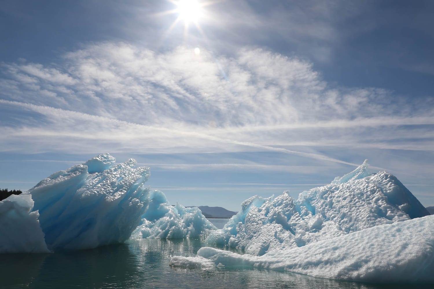 Iceberg in LeConte Bay fjord during glacier photo tour by FauneVoyage Tours in Petersburg, Alaska