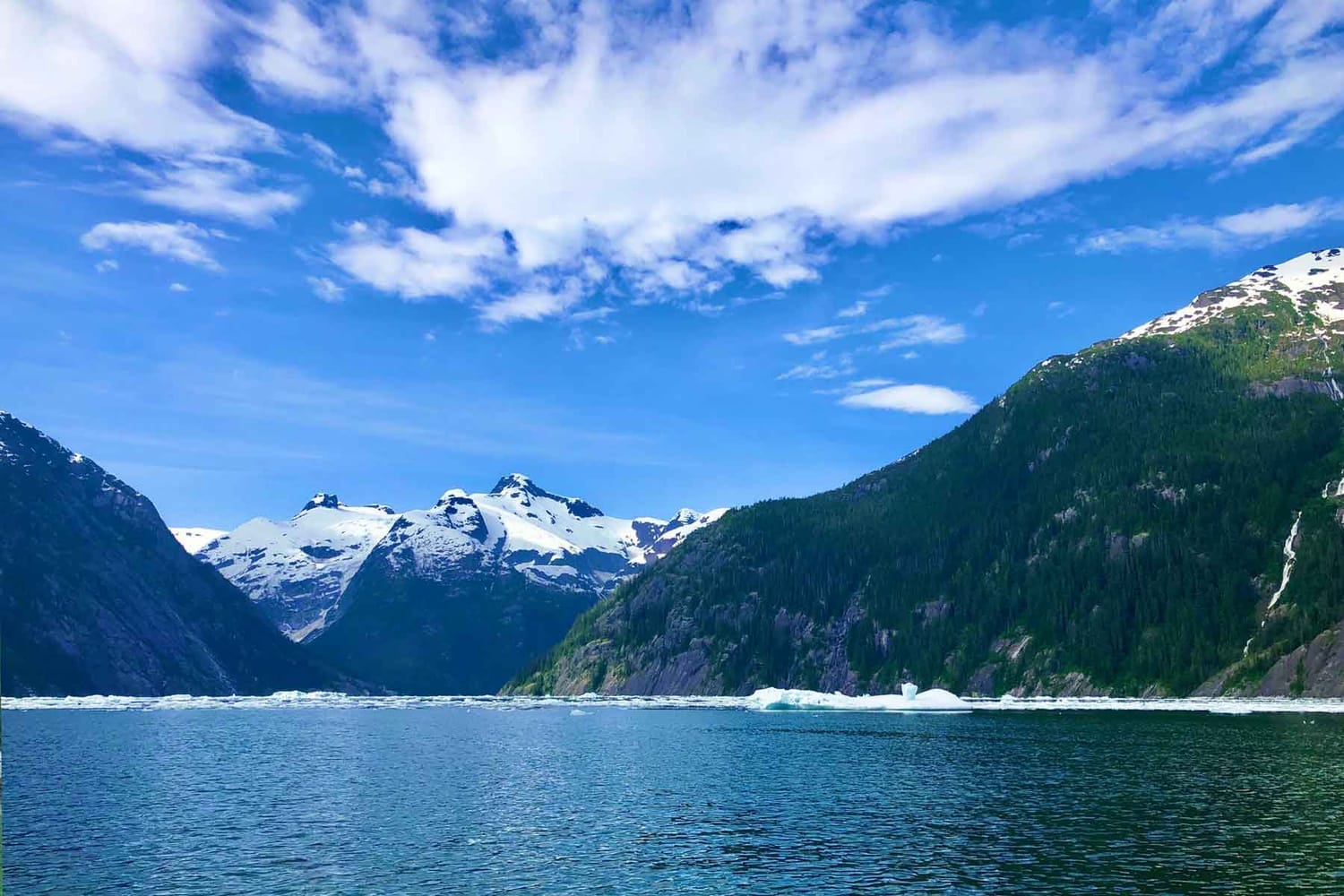 Ice in LeConte Bay during Glacier Tour with FauneVoyage Tours