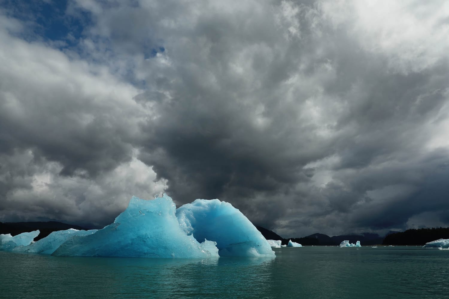 Iceberg in LeConte Bay fjord during glacier photo tour by FauneVoyage Tours in Petersburg, Alaska
