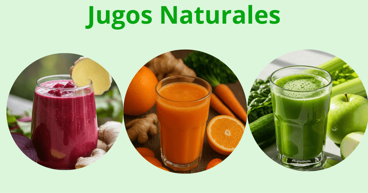 Libro digital recetas para celíacos