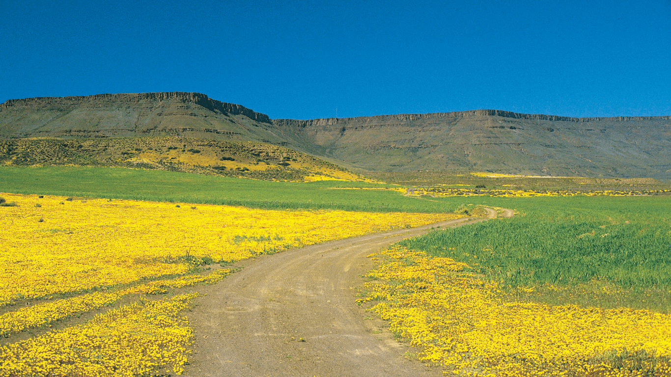 West Coast, Namaqualand & Richtersveld