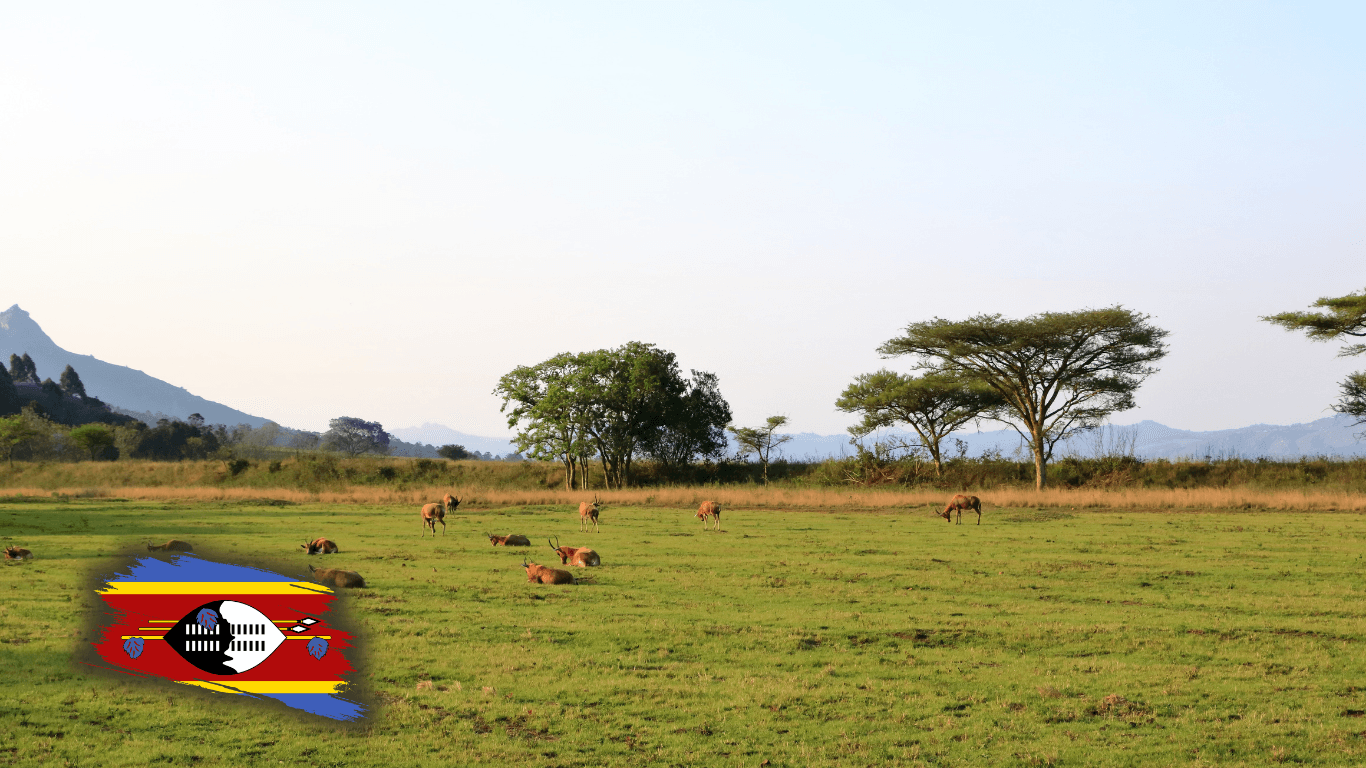 Eswatini (Swaziland)