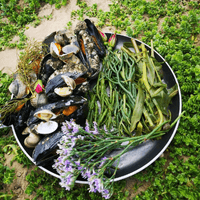 Freshly caught seafood sizzling on the fire in Mozambique during a Van Africa 4x4 overlanding adventure.