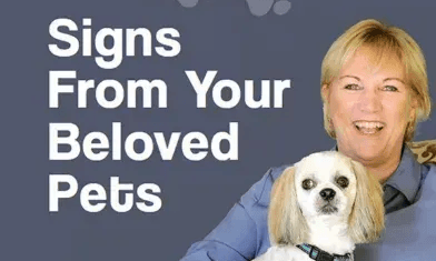 Get your hands on Signs From Your Beloved Pets now!