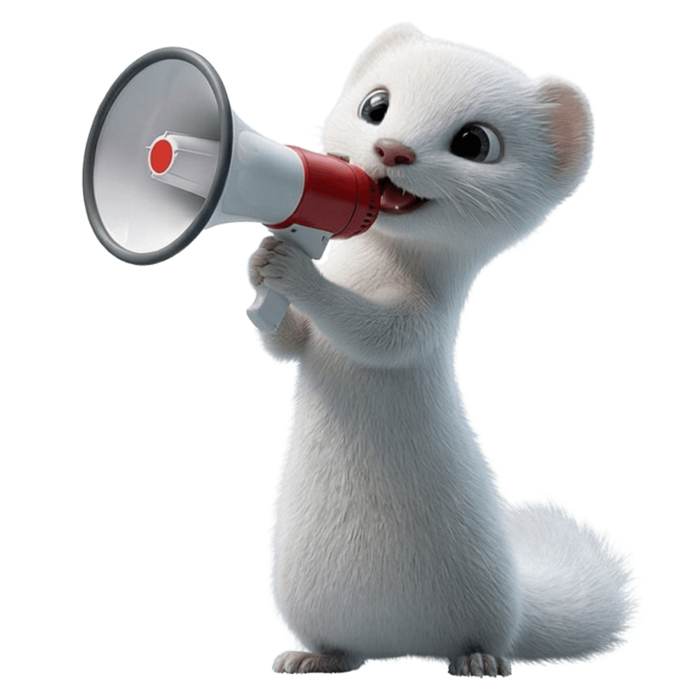 publicité facebook ads, iinstagram ads