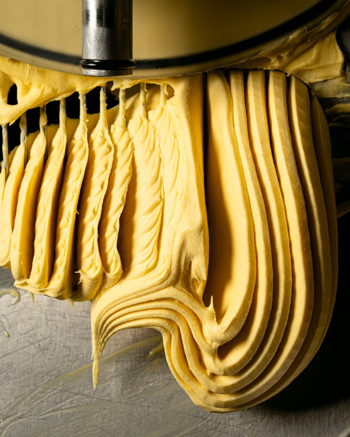 Plataforma del curso