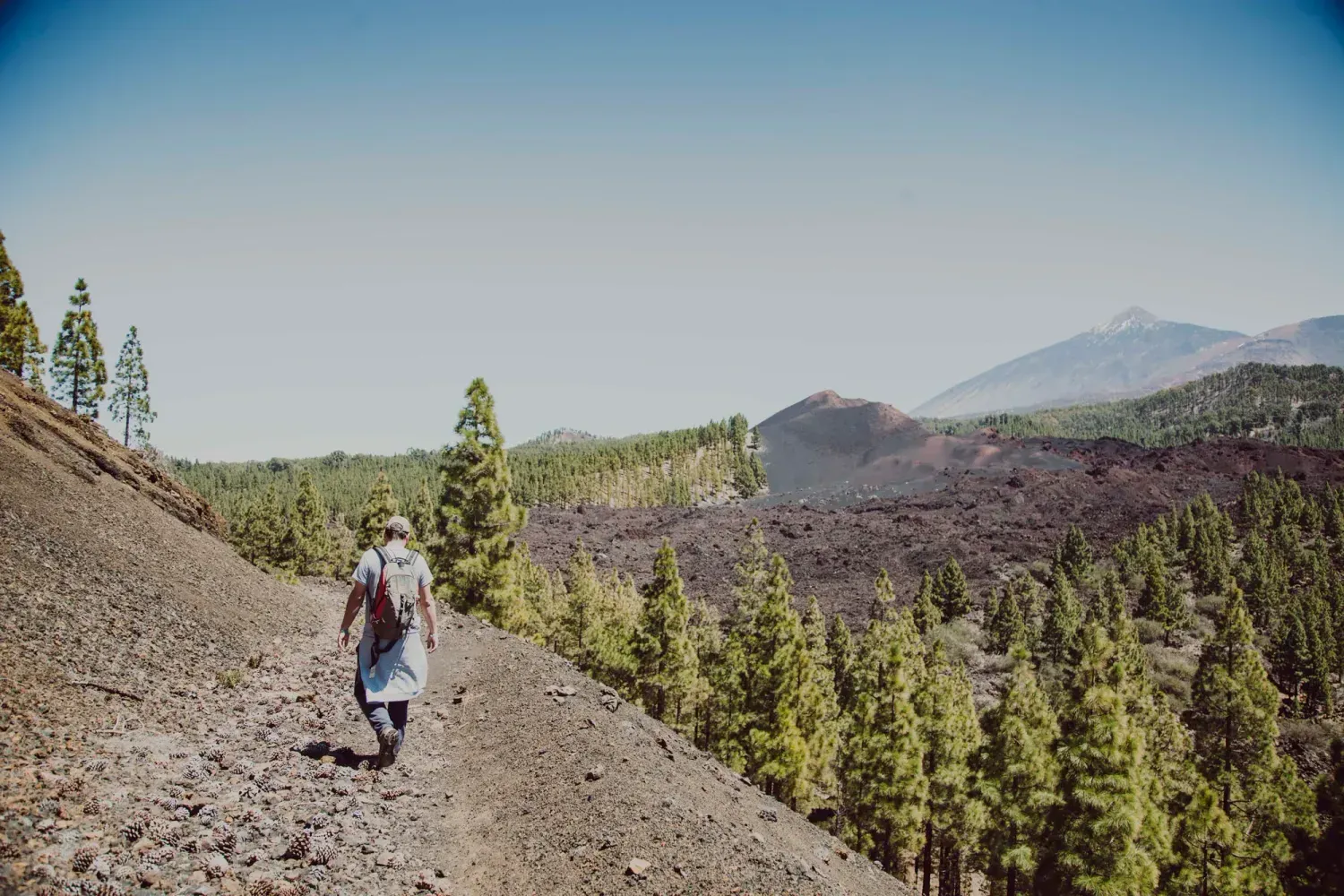 Hiking El Chinyero